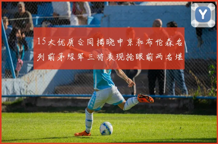 15大优质合同揭晓申京和布伦森名列前茅绿军三将表现抢眼前两名堪称传奇